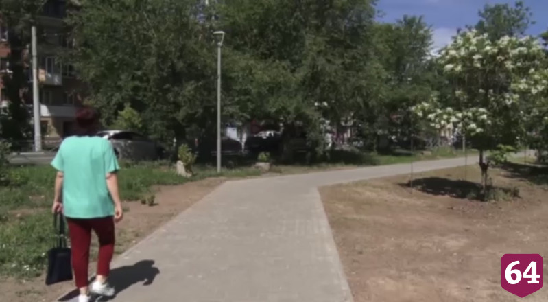 В сквере Энгельса высадили березы и установили лавочки